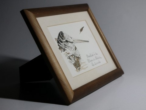 Bécasse réalisée à la plume du peintre par Laurence Saunois, peintre animalier