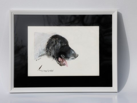 Portrait de chien encadré, réalisé  la plume du peintre