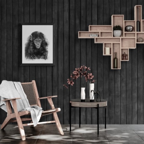 AVAILABILITY Charcoal artwork of a young chimpanzee displayed in a living room – wildlife artist Laurence Saunois