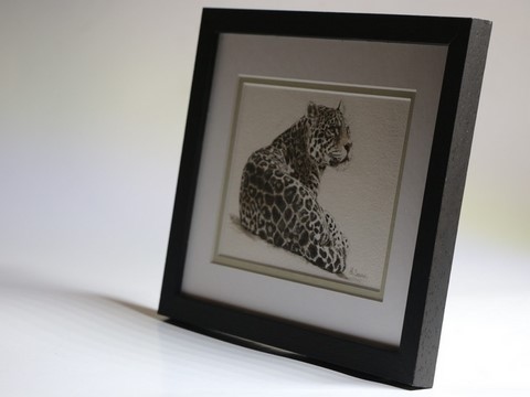 Dessin de Jaguar sur papier fait main, encadré, par la peintre animalier Laurence Saunois
