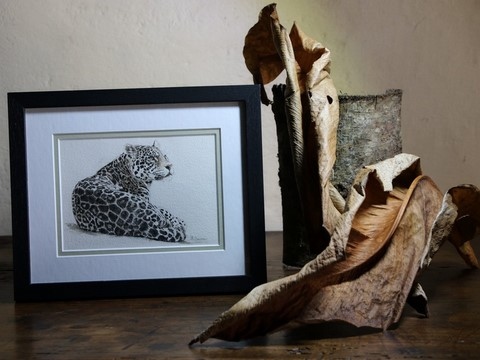 Dessin de Jaguar sur papier fait main par la peintre animalier Laurence Saunois