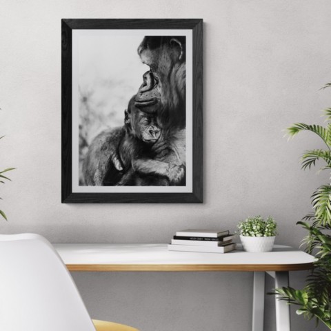 AVAILABILITY Charcoal artwork of a gorilla with its sleeping baby displayed above a desk – wildlife artist Laurence Saunois