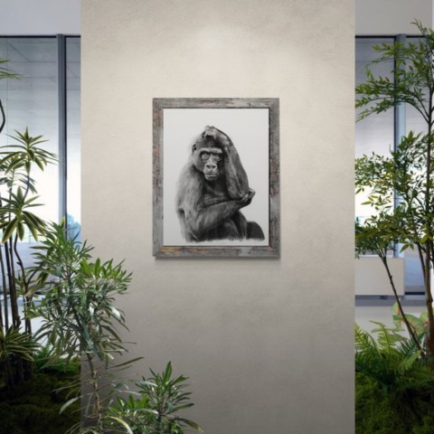 AVAILABILITY “Charcoal drawing of a gorilla portrait displayed in a hall - wildlife artist Laurence Saunois