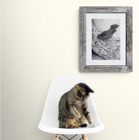 Dessin de jeune merle avec un chat par la peintre animalier Laurence Saunois