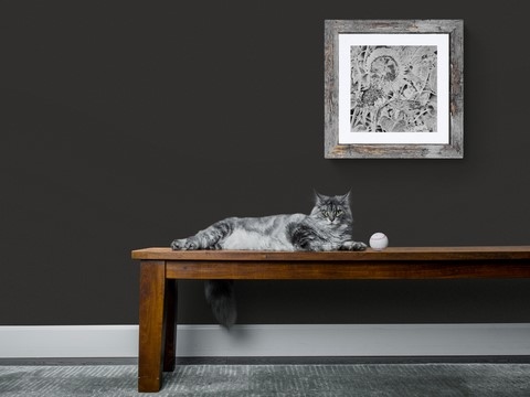 Dessin de moineaux et chat : peintre animalier Laurence Saunois