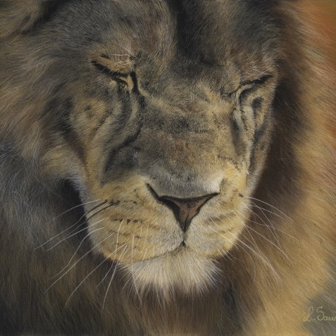 Dessin d'un portrait de lion en gros plan aux pastels secs