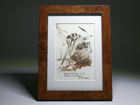 Woodcock drawn with a woodcock's feather by Laurence Saunois, animal artist (pp19)