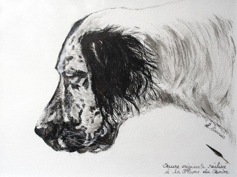 Portrait de chien réalisé à la plume du peintre par la peintre animalier Laurence Saunois