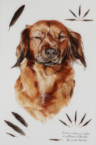 Dessin à la plume du peintre d'un portrait de chien par la peintre animalier Laurence Saunois