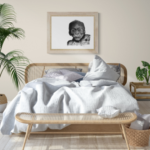 AVAILABILITY Charcoal drawing of a baby gorilla portrait displayed in a bedroom above a bed – wildlife artist Laurence Saunois