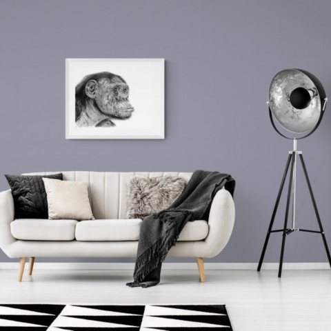 AVAILABILITY Painting (charcoal drawing) of a chimpanzee portrait in a room setting above a modern sofa