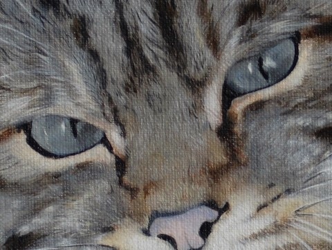 Peinture de chat sauvage (détails) par Laurence Saunois, artiste peintre animalier