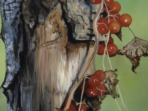 Peinture d'un rouge-queue (détails) par la peintre animalier Laurence Saunois