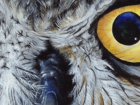 Peinture de hibou par Laurence Saunois, peintre animalier