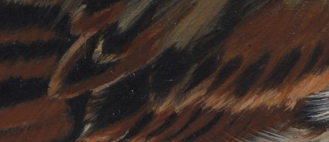 Détails de plumes de moineau en peinture par la peintre animalier Laurence Saunois