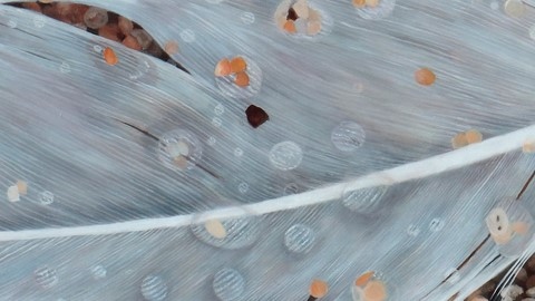 Détails - Peinture d'une plume sur le sable par la peintre animalier, Laurence Saunois