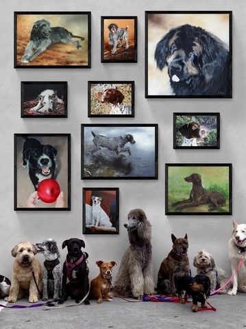 Galerie de tableaux de chiens de Laurence Saunois, peintre animalier