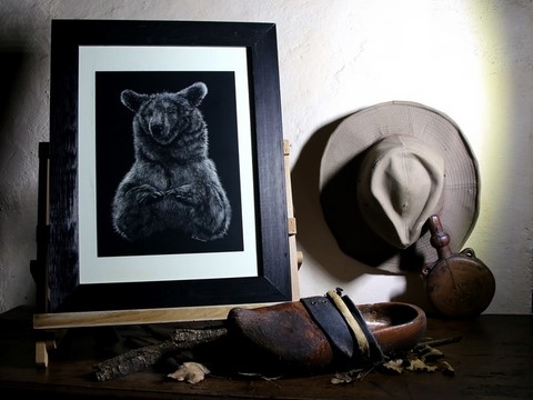 Encadrement - Scratchboard d'Ours des Pyrénées par Laurence Saunois, peintre animalier