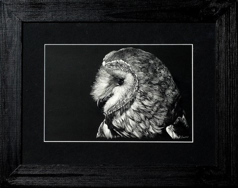 Cadre - Scratchboard de chouette Dame Blanche  par Laurence Saunois,  peintre animalier