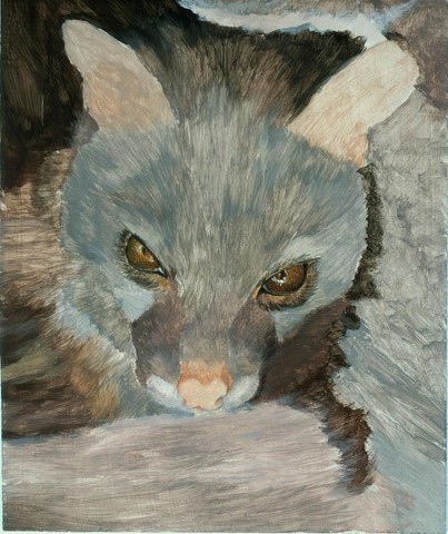 Etape 1 - Peinture de genette par Laurence Saunois, artiste peintre animalier
