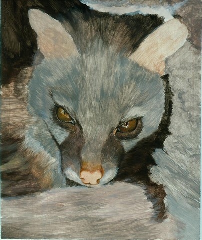 Etape 2 -Peinture de genette par Laurence Saunois, artiste peintre animalier