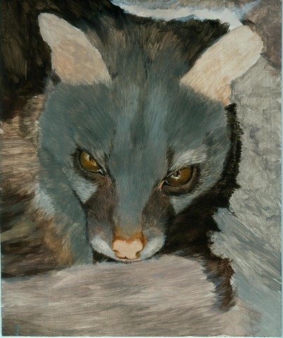 Etape 3 -Peinture de genette par Laurence Saunois, artiste peintre animalier