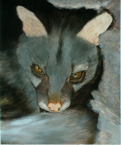 Etape 4 -Peinture de genette par Laurence Saunois, artiste peintre animalier