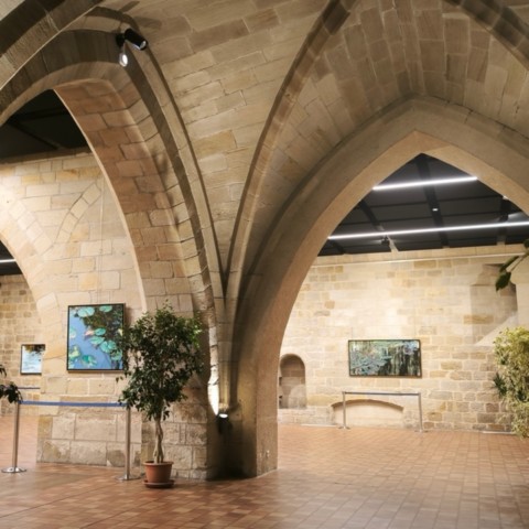 Exhibition by Nympheus Luminansis in Figeac, artist Laurence Saunois