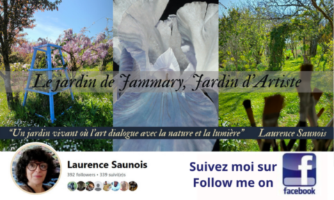 Facebook de Laurence Saunois, artiste peintre, jardin d'artiste