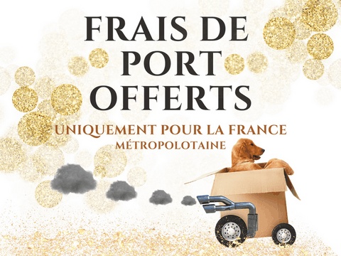 Frais de port offert pour la France -laurence-saunois, artiste peintre