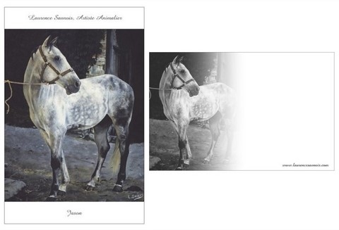 Carte postale - Tableau de cheval réalisé par Laurence Saunois, artiste animalier