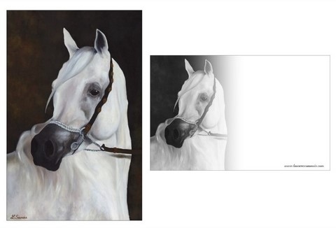 Carte Postale - Peinture de cheval par Laurence Saunois, peintre animalier