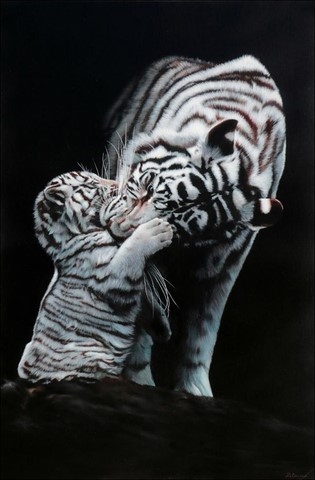 Tableau de tigres blancs sur fond noir par la peintre animalier Laurence Saunois 