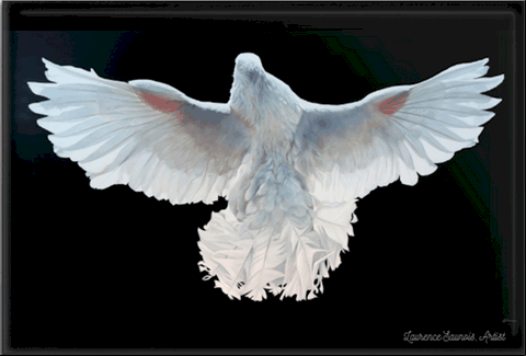 Magnet - Peinture de pigeon blanc par Laurence Saunois, artiste peintre animalier