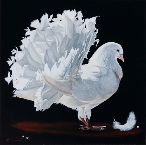 Peinture de pigeon blanc par Laurence Saunois, artiste peintre animalier