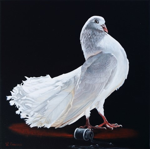 Peinture de pigeon blanc par Laurence Saunois, peintre animalier