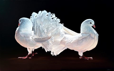 Tableau de pigeons blancs par Laurence Saunois, artiste