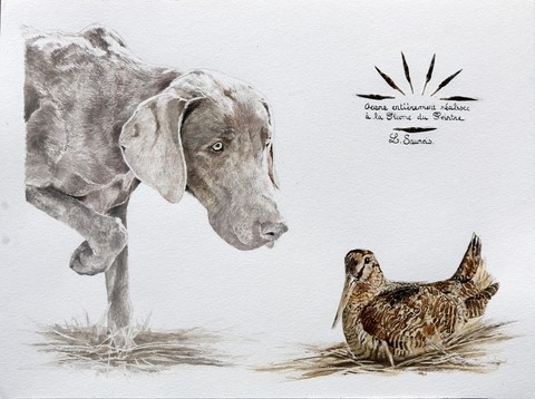 Portrait realized with a woodcock feather (the pen of the painter) by Laurence Saunois, Animal artist