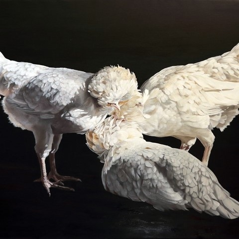 Peinture de poules blanches par la peintre animalier Laurence Saunois