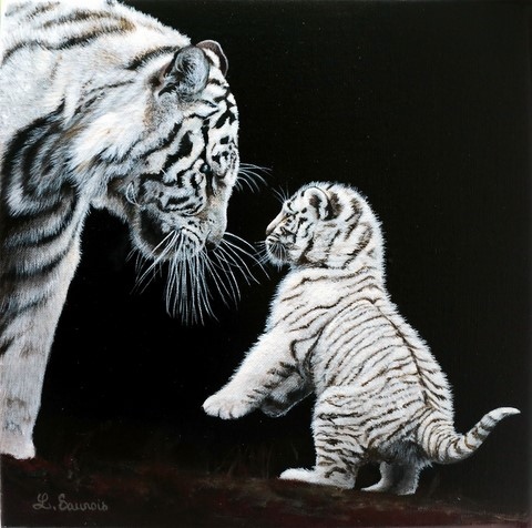 Peinture de tigres blancs par la peintre animalier Laurence Saunois