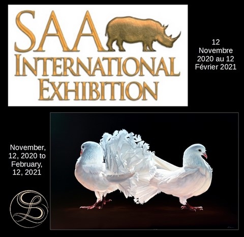SAA International Exhibition 2020 - Laurence Saunois, artiste