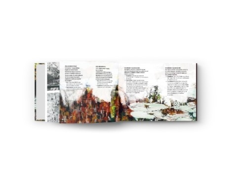 Livre "Nympheus Luminansis, les Nymphéas de la Lumière" par Laurence Saunois - intérieur