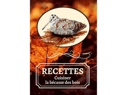 Couverture du livre "recettes : cuisiner la bécasse des bois"