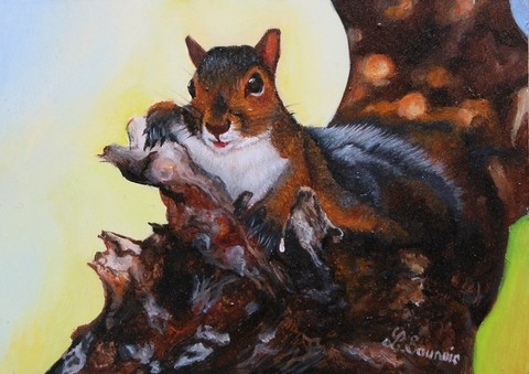 Ecureuil de Floride par la peintre animalier Laurence Saunois