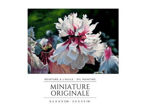 Peinture miniature de pivoines par la peintre animalier Laurence Saunois