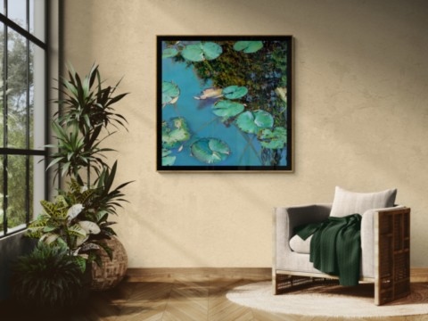 Tableau de Nympheus Luminansis de l'artiste Laurence Saunois, dans un salon avec de la verdure