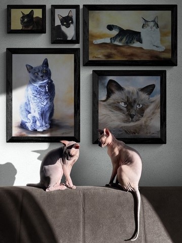 Galerie de tableaux de chats de Laurence Saunois, peintre animalier