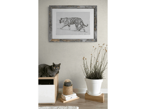 Dessin des tigres blancs par la peintre animalier Laurence Saunois