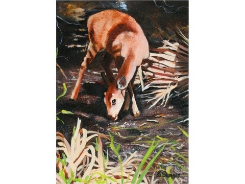 Miniature painting of a doe by wildlife artist Laurence Saunois