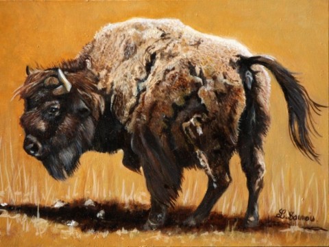 Peinture miniature d'un bison d'Amérique -peintre animalier Laurence Saunois